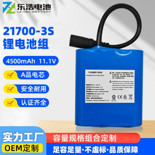 21700锂电池组