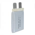 低温聚合物锂电池